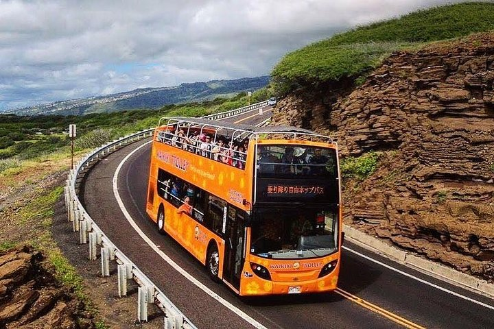 Waikiki Trolley Hop-On Hop-Off Tour of Honolulu - Photo 1 of 25